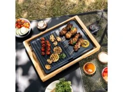 Mestic Grillplaat MG-135 -Camper Accessories Winkel 50 3 mestic grillplaat mg 135 1506500